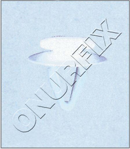 171807249A