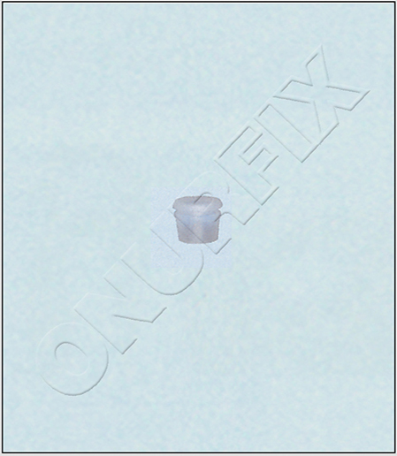 0019887781