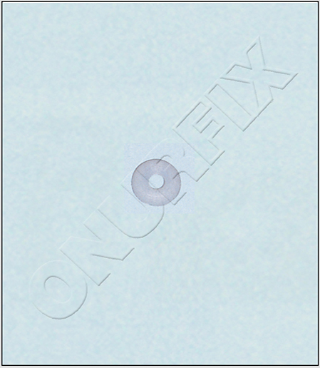 WESTFALIA-Q900050649006