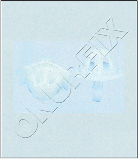 0019884881