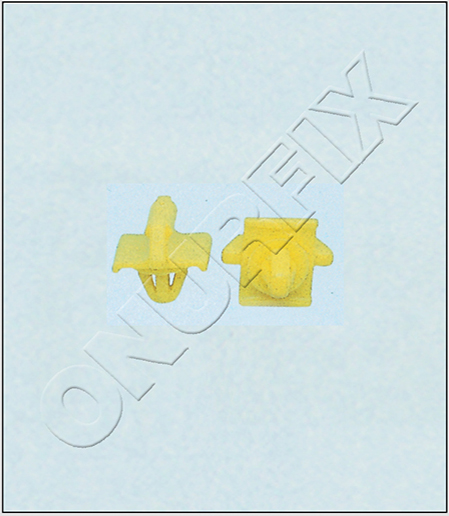 0019886081