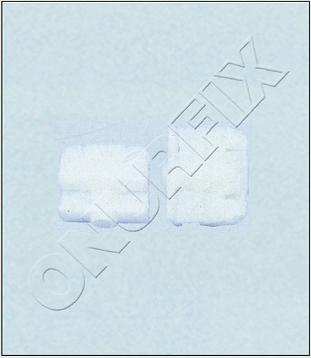 0029946545